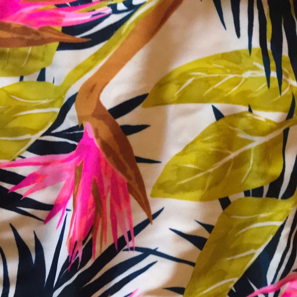 Bikini - Picture 2 of 2